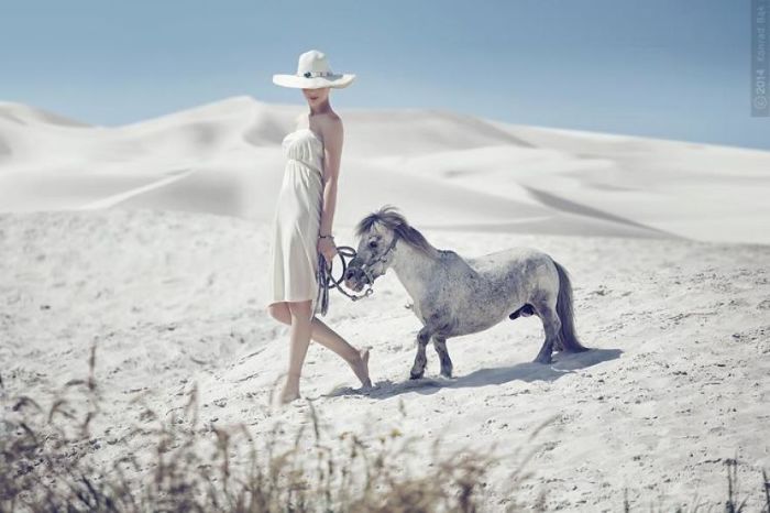 Сила и грация: великолепные лошади на фотографиях Конрада Бонка