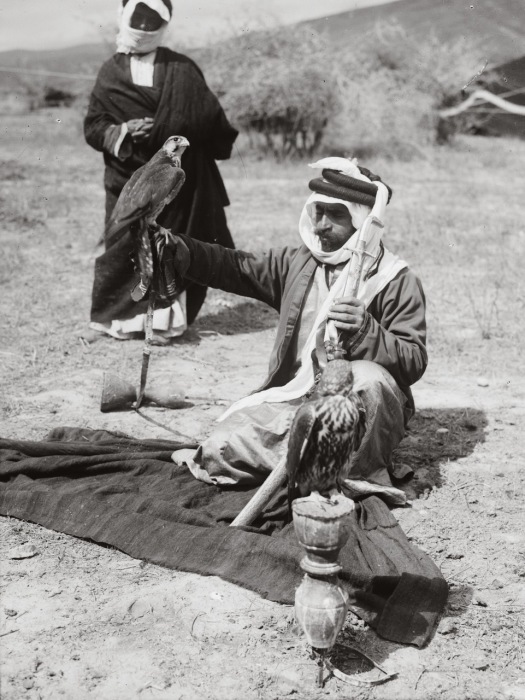 Бедуины использовали птиц для охоты в пустыне, чтобы дополнять свой рацион мясом.