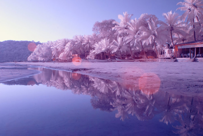 Волшебный Гоа: 16 инфракрасных фотографий знаменитого курорта в межсезонье