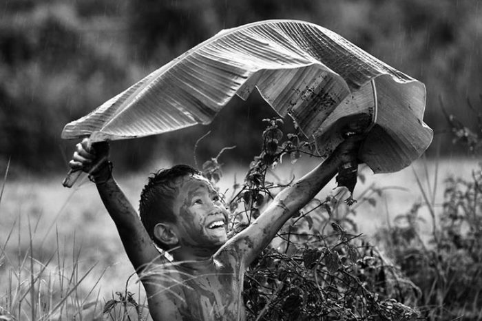 Зонт из листа большого дерева. Фотограф: Чи Кеонг Лим, Малайзия.