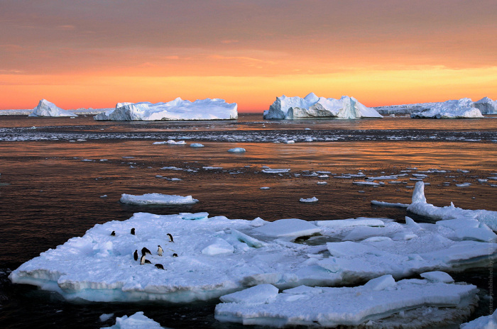 Тающие льдины около французской научной станции Дюмон-Дюрвиль, которая находится в Восточной Антарктиде.