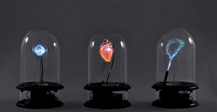 Стеклянные скульптуры из серии Anatomical Neon от Jessica Lloyd-Jones