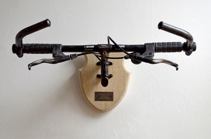 Bicycle Taxidermy, арт-проект Регана Эпплтона (Regan Appleton)