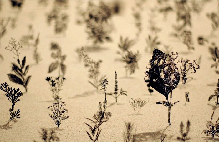Blackfield, инсталляция из металлических растений на поле из песка