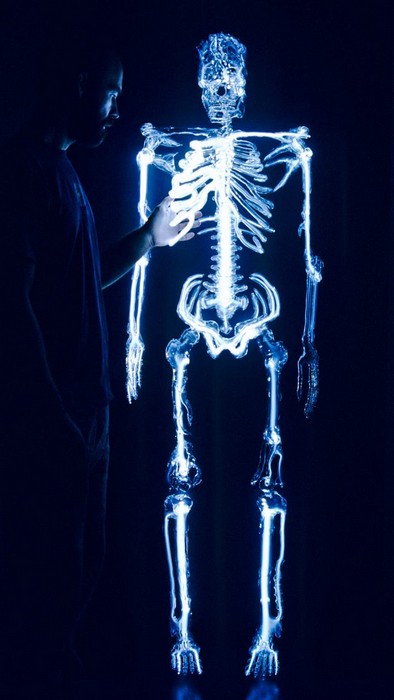 Светящаяся неоном скульптура-скелет Embodiment