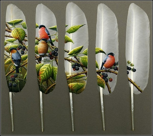 Искусство раскрашивать перья. Картины на лебединых перьях от Яна Дэйви (Ian Davie)