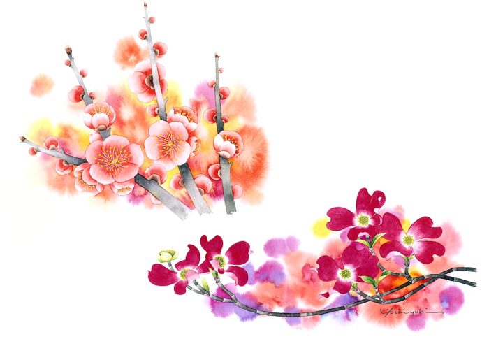 Цветочная поляна. Японские акварели Ибараги Йосиюки (Ibaragi Yoshiyuki)