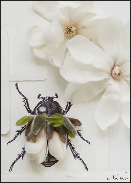 Цветочно-лепесточные насекомые от Кари Херер (Kari Herer)