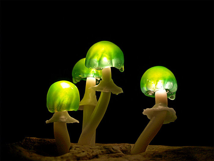 Mushroom_Lights_1.jpg