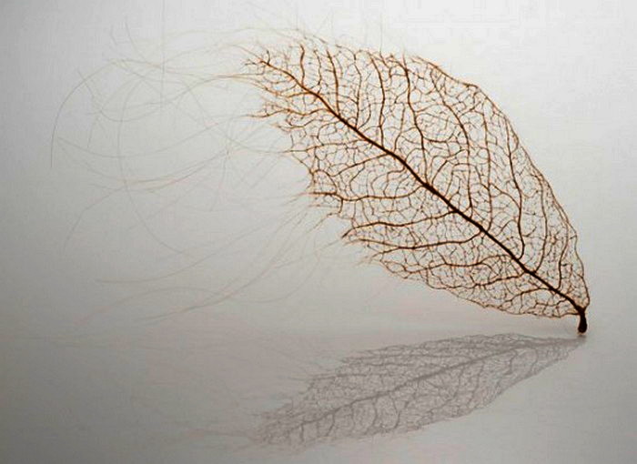 Удивительное плетение из человеческих волос