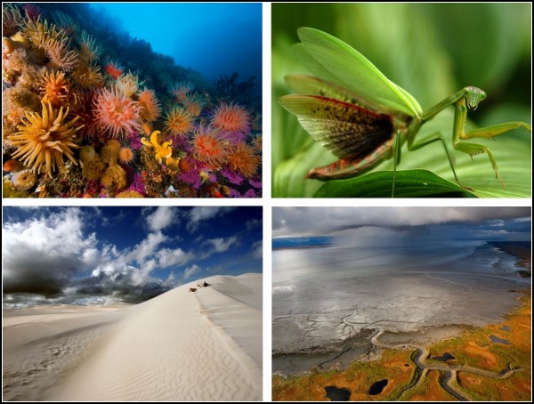 �OP-���� �� National Geografic �� 29 ������-05 �������