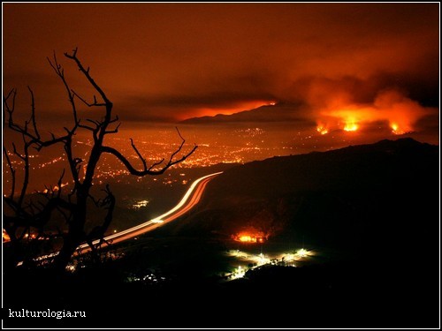 Los Angeles Wildfires