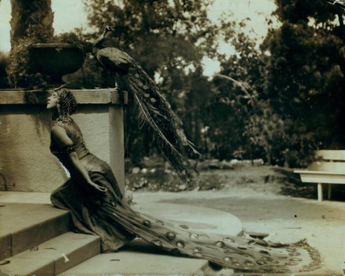 Ruth St. Denis in the Peacock Costume (1915)
