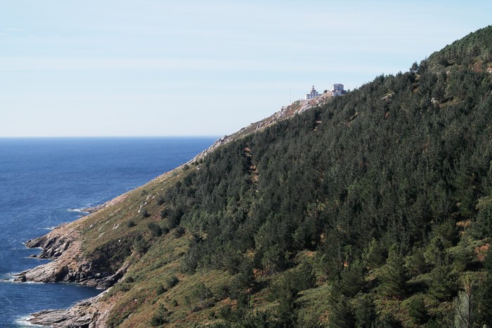 �� ���� ����������