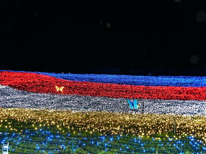 Световое шоу в ботаничестком саду Nabana no Sato в японском городе Кувана