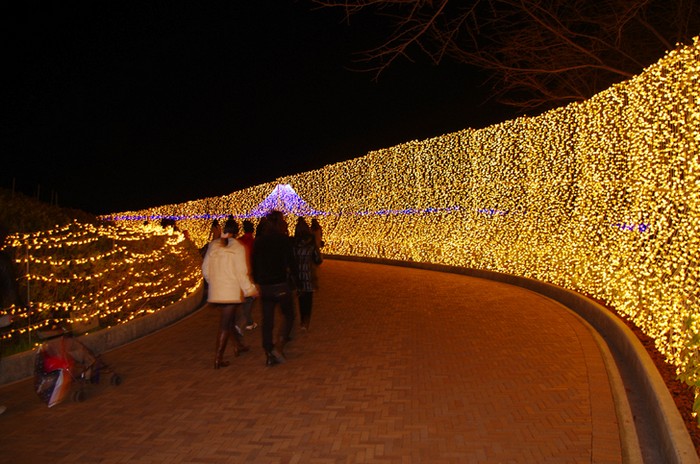 Световое шоу в ботаничестком саду Nabana no Sato в японском городе Кувана
