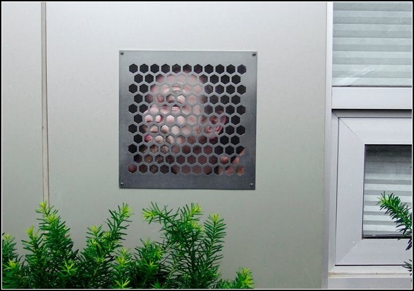 ���� � �������� �� ��������� ���� ���� (Dan Witz)