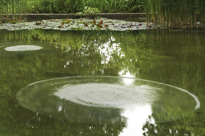    Sonic Water Lilies    (Philippe Parreno