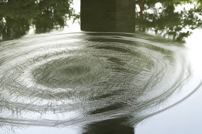    Sonic Water Lilies    (Philippe Parreno