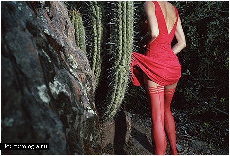 ������, �����&hellip; ������� &ndash; ����! ������� ������������� ��������
��������