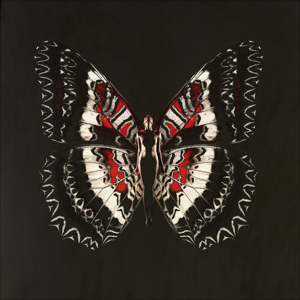 Carsten Witte: глубина и эротизм Carsten Witte: глубина и эротизм