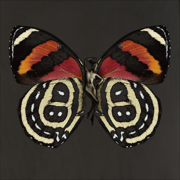 Каков он, поцелуй бабочки? Каков он, поцелуй бабочки?