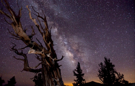 Вот, как надо фотографировать ночное небо на конкурсы