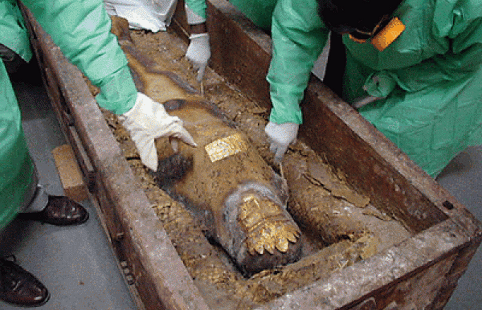 ��������������� ���������, ����������� �����������.