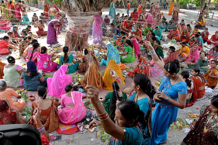 Индийские фестивали: женщины плетут нитки жизни вокруг баньяна. Фото Айита Соланки