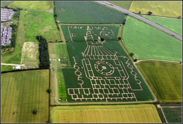 Загадочные кукурузные поля Йоркшира