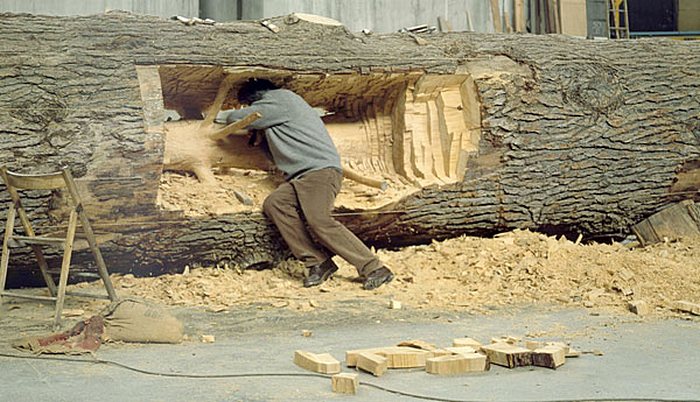 Джузеппе Пеноне во чреве дерева