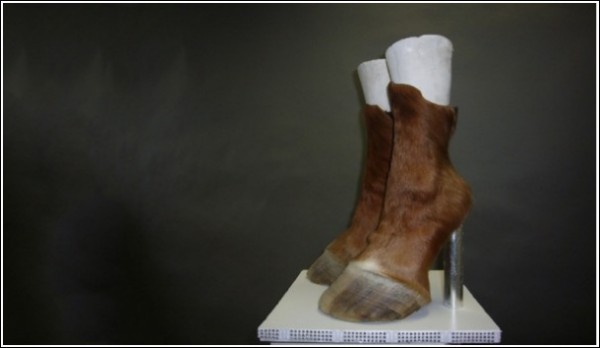 Необычная обувь Айрис Шниферштейн: сногсшибательный вариант