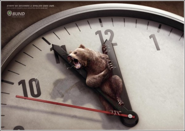 Минута до вымирания бурого медведя: шокирующая зеленая реклама