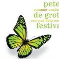 Музыкальный фестиваль Петра I открылся в Голландии