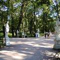 Летний сад в Петербурге открылся после реставрации 