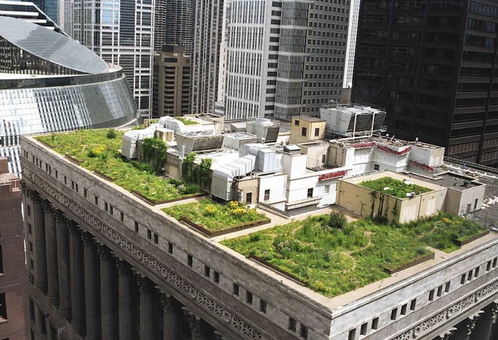 Сад на крыше 11-этажного здания (Чикаго)