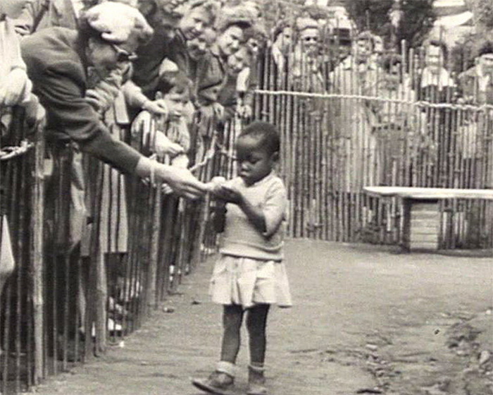 Конголезская деревня, зоопарк в Европе, 1958 год