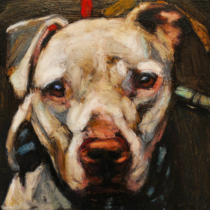 Душещипательные портреты собак от Марка Барона