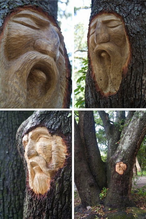 http://www.kulturologia.ru/files/u15094/keith-jennings-tree-2.jpg