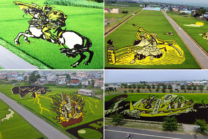 Картины на рисовых полях Японии