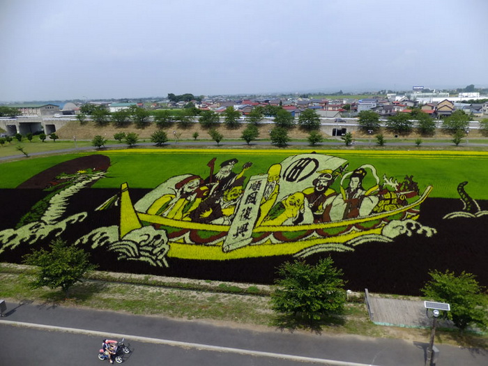 Рисовые поля - произведения искусства