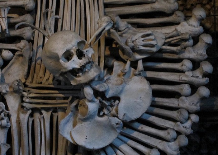 Часть герба: ворон, кдюющий голову турка.