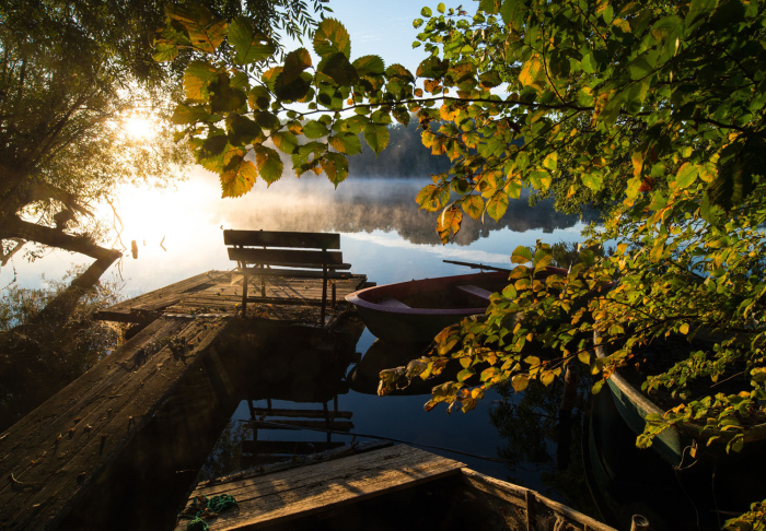 Утреннее солнце светит сквозь туман на озере в Германии. 1 октбяря 2015г.