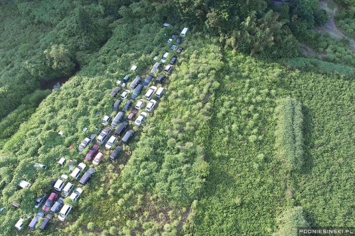Покинутые машины медленно погружаются в море деревьев на отрезке дороги возле АЭС.