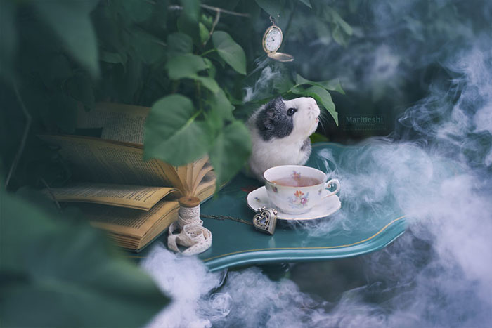 Время для чая.  Фото: Marloeshi Photography.
