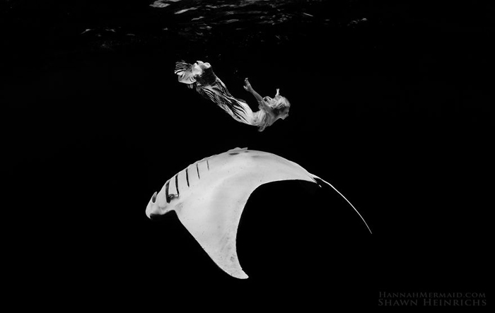 Изящность подводной жизни. Фотограф Shawn Heinrichs.