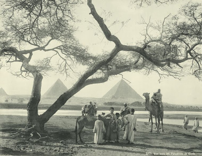 Вид на пирамиды в Гизе.