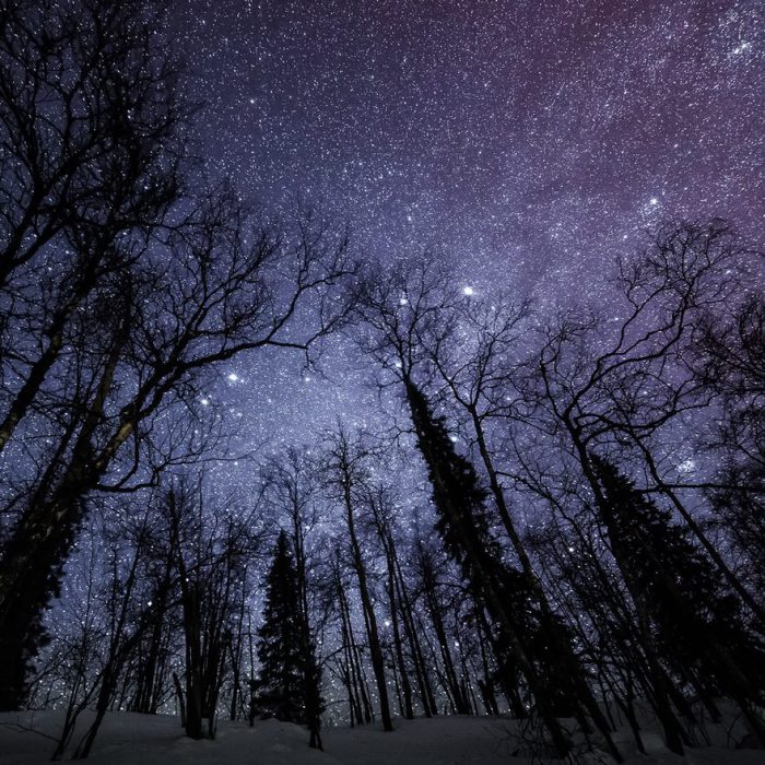 Мільйони небесних світил яскраво світять в морозну ніч.