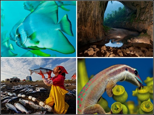 Лучшие фотографии за 07-13 марта от National Geographic