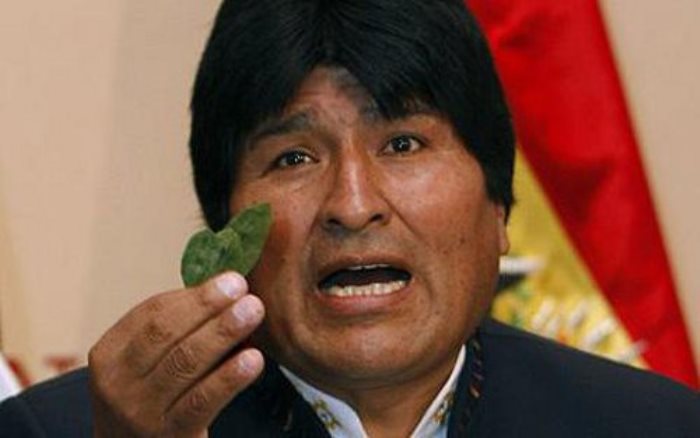 Президент Боливии Эво Моралес всегда жует листья коки на международных встречах